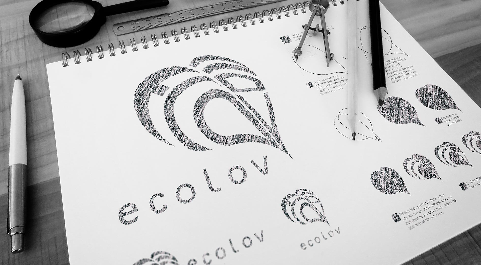 Branding Ecolov